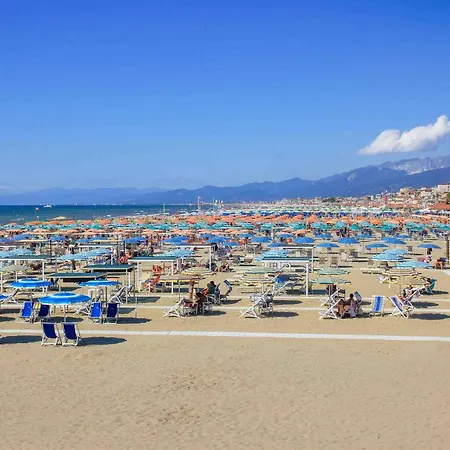 Domek alpejski Comfortable Campsite-chalet G12 Tuscany Near Sea *